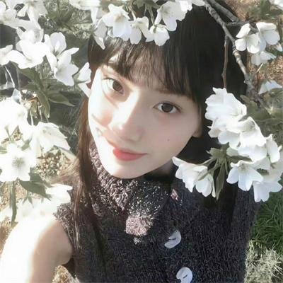 火星情报局第五季